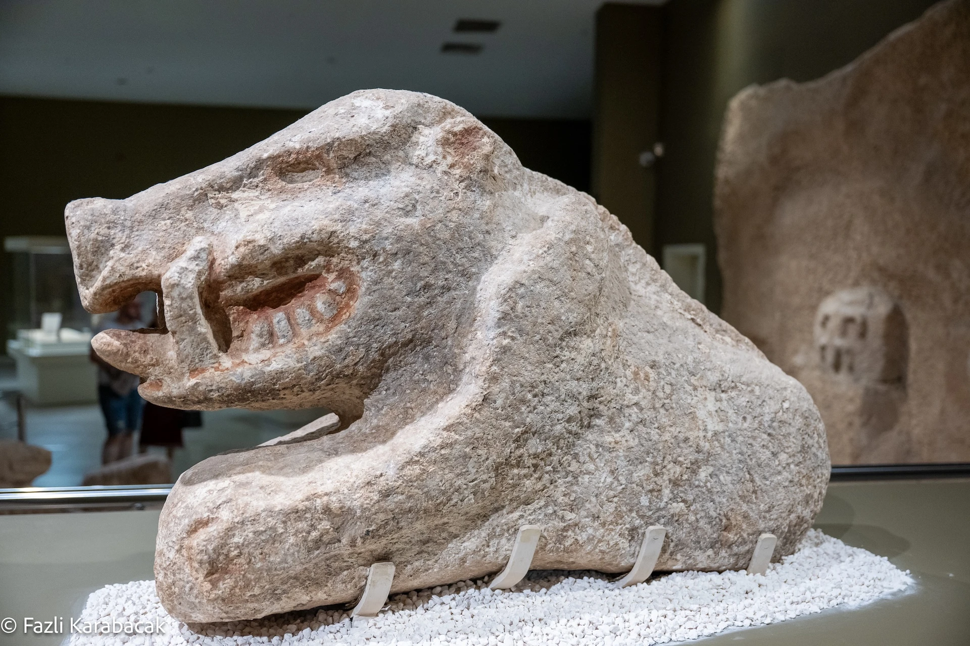 Low-relief carving of a wild boar on a pillar in Enclosure C at Göbekli Tepe