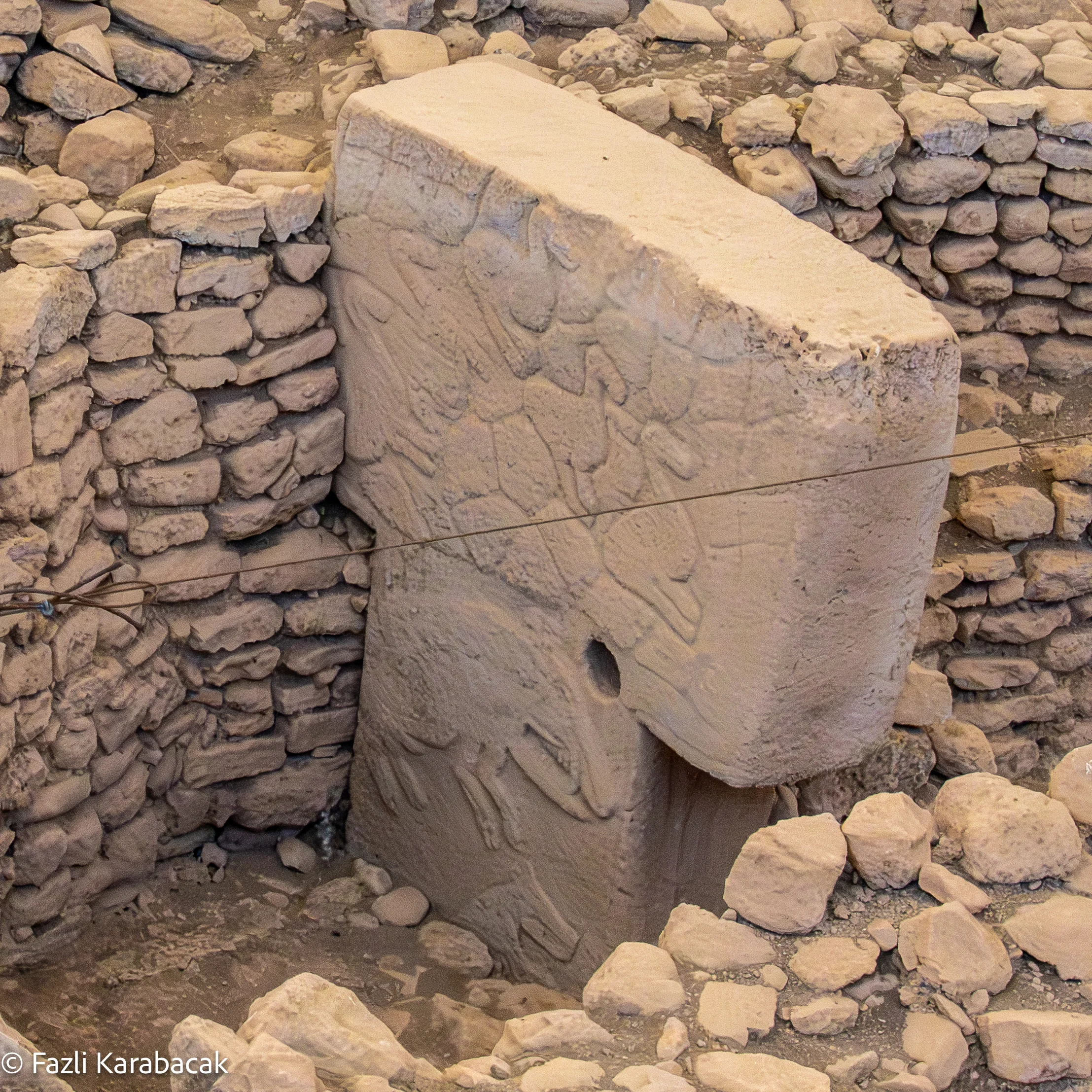 Cranes and birds in relief