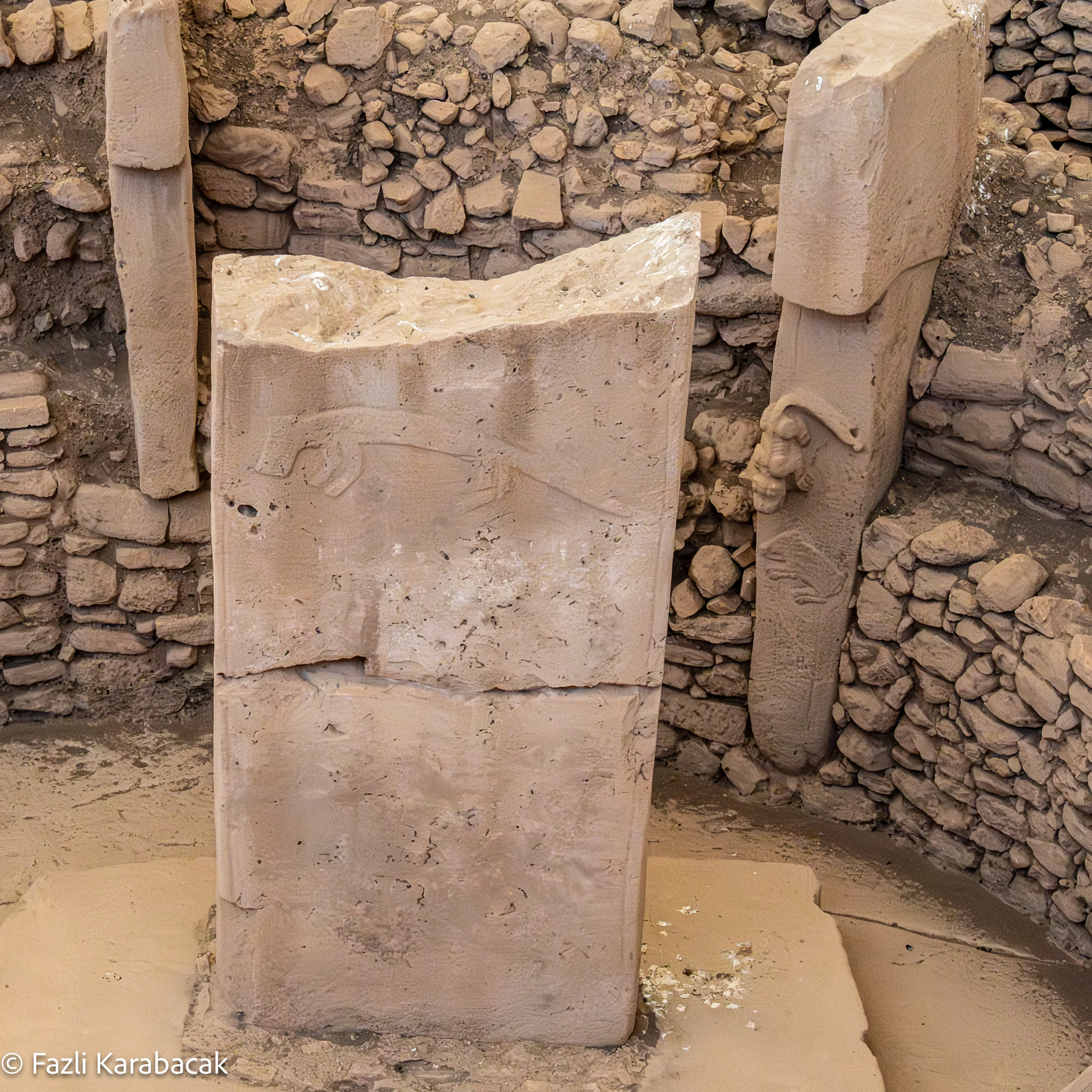 Wild boar relief with intricate surface detail