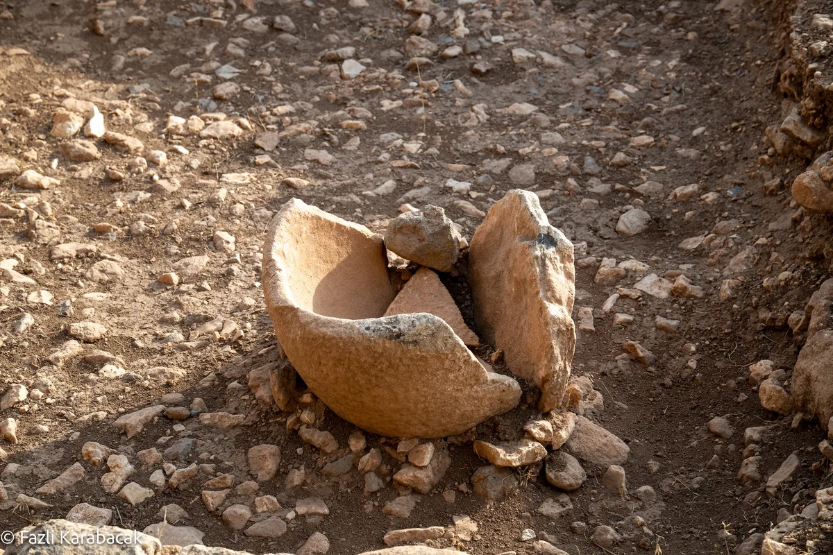 Limestone vessels found at Göbekli Tepe, possibly used for brewing beer or fermented grain beverages