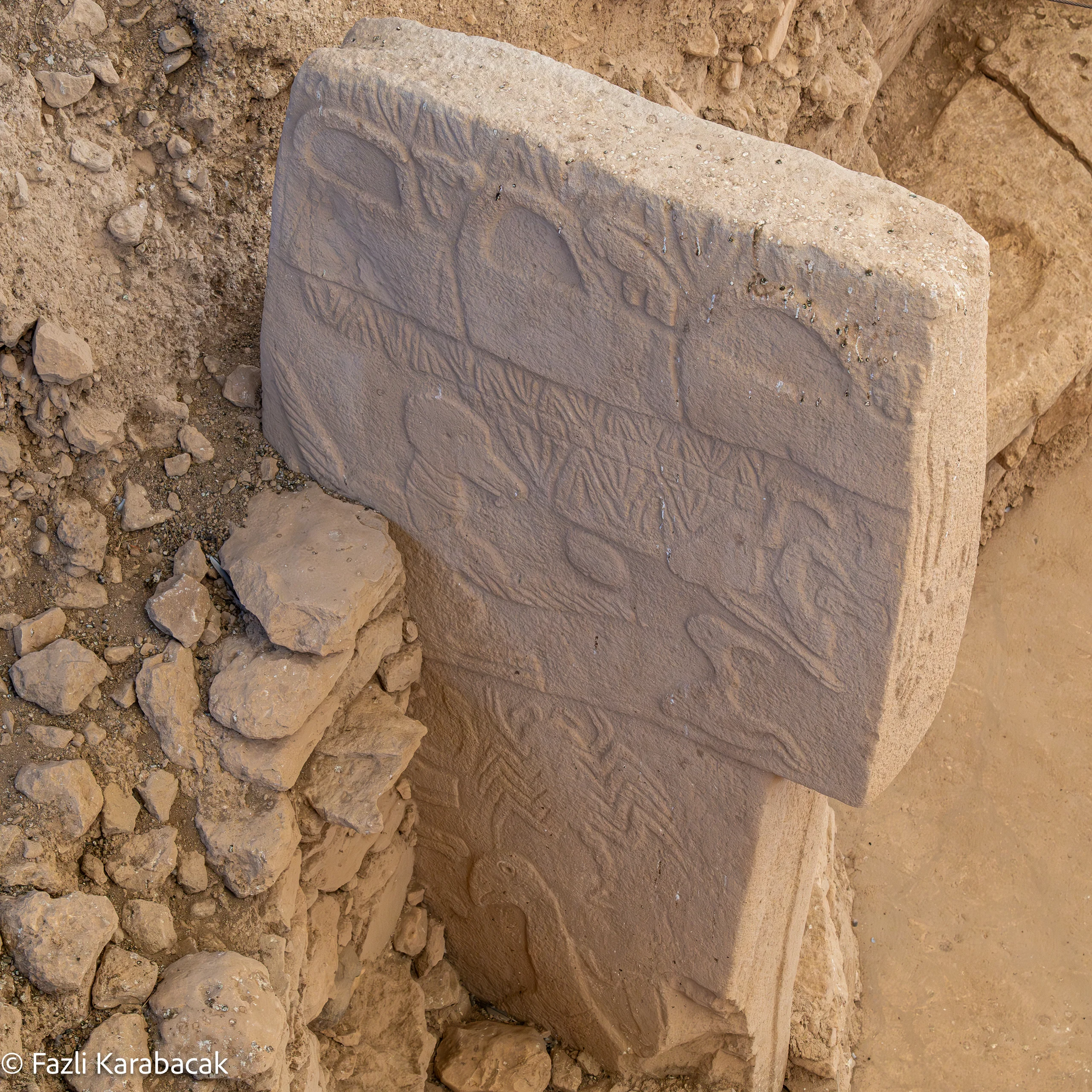 Reading the carvings on Pillar 43 — vultures, headless figure, scorpion and symbols